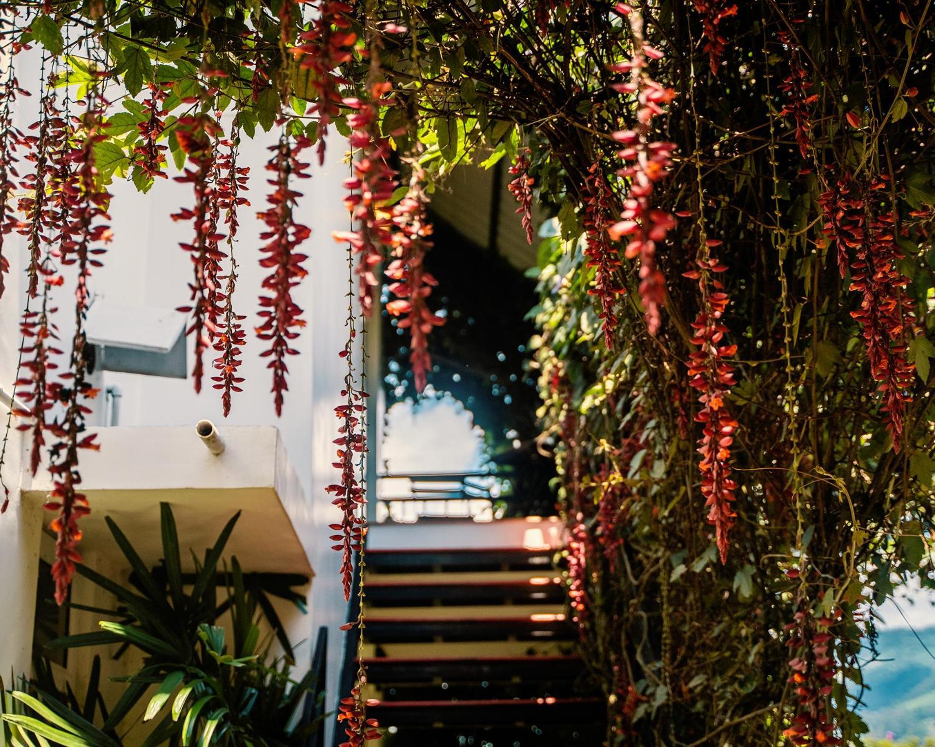 The Leaf Munnar Otel Dış mekan fotoğraf